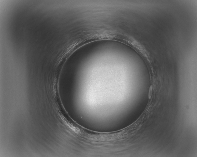 X0000056360009200509021800