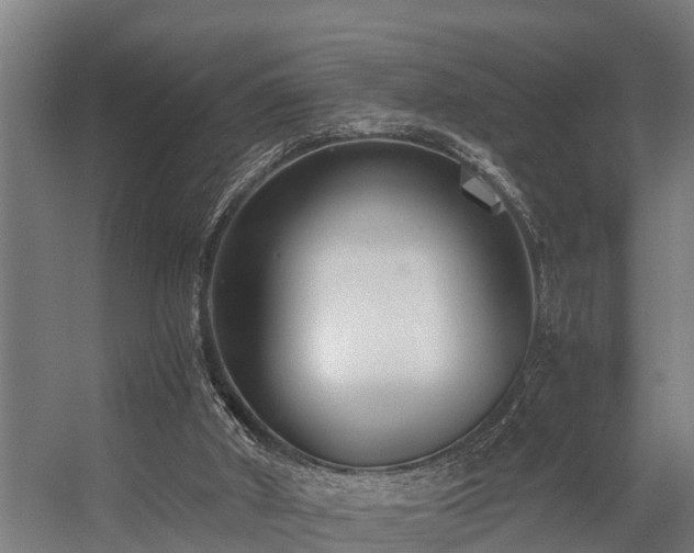 X0000056360010200509021800