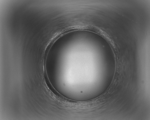 X0000056360011200509021800