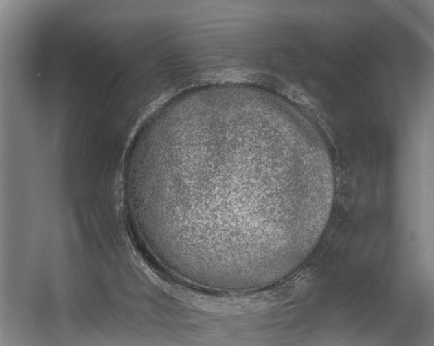 X0000056360012200509021800