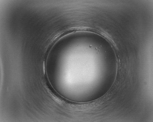 X0000056360013200509021800