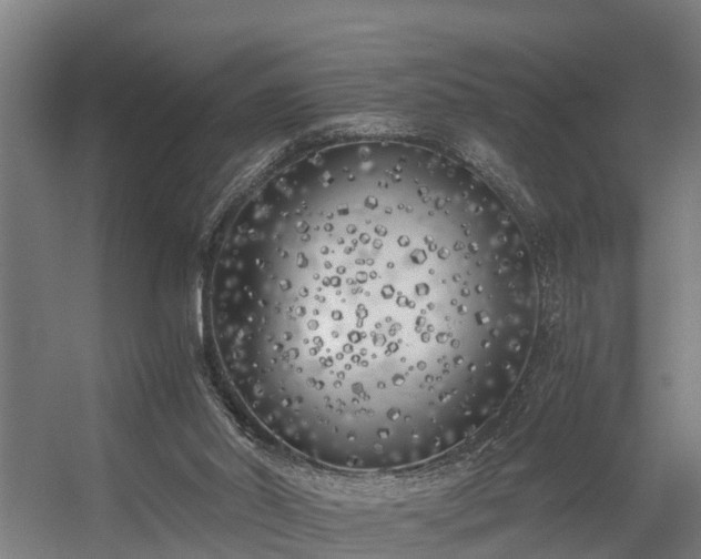 X0000056360014200509021800