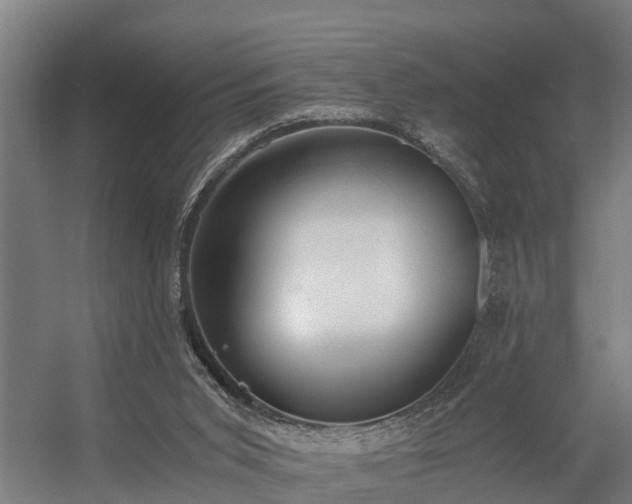 X0000056360015200509021800