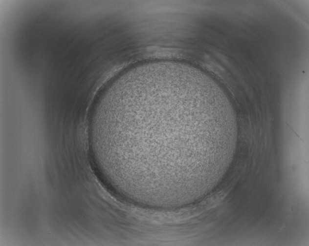 X0000056360016200509021800