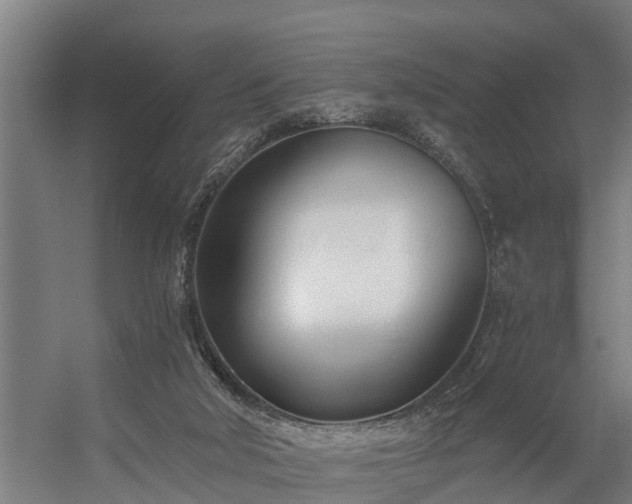 X0000056360018200509021800