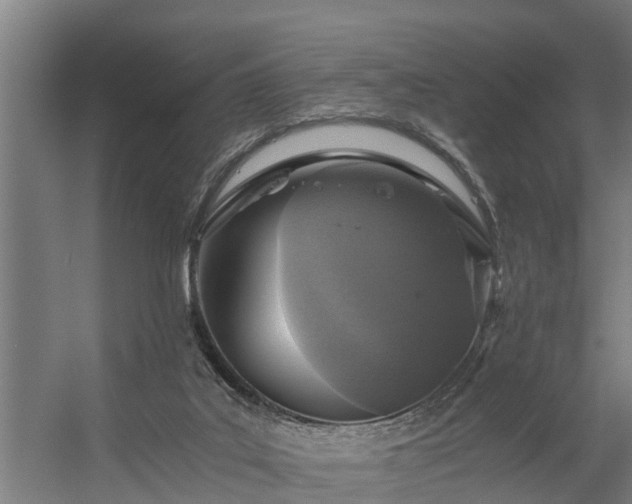 X0000056360019200509021800