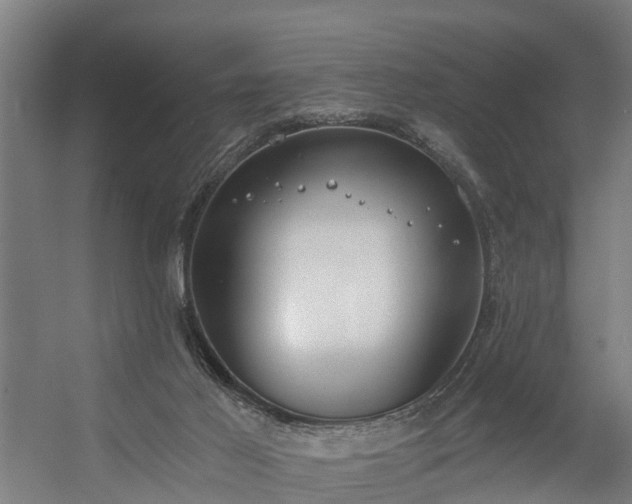 X0000056360021200509021800