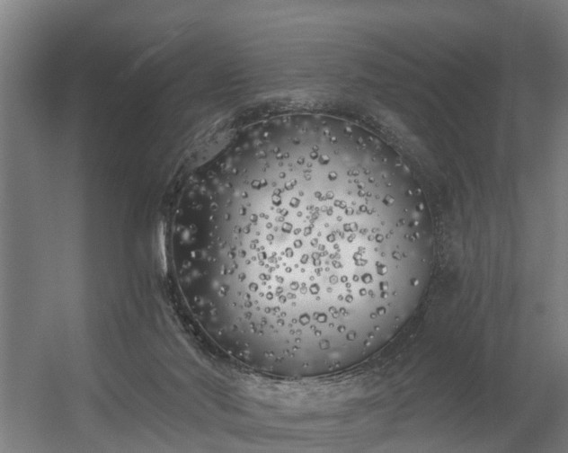 X0000056360022200509021800