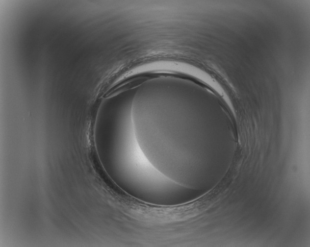 X0000056360023200509021800