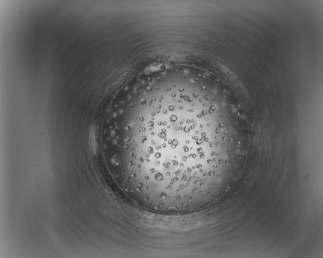 X0000056360026200509021800