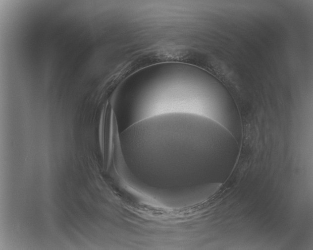 X0000056360027200509021800