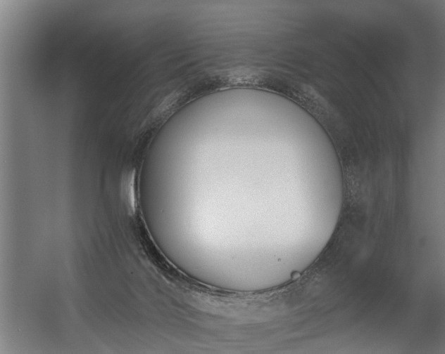 X0000056360028200509021800