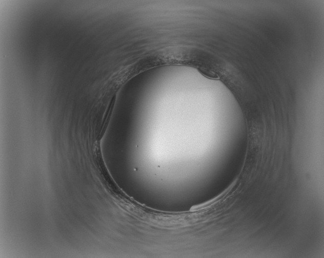 X0000056360029200509021800