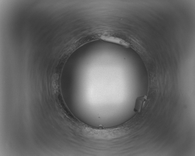 X0000056360030200509021800