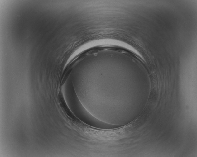 X0000056360031200509021800