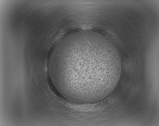 X0000056360032200509021800