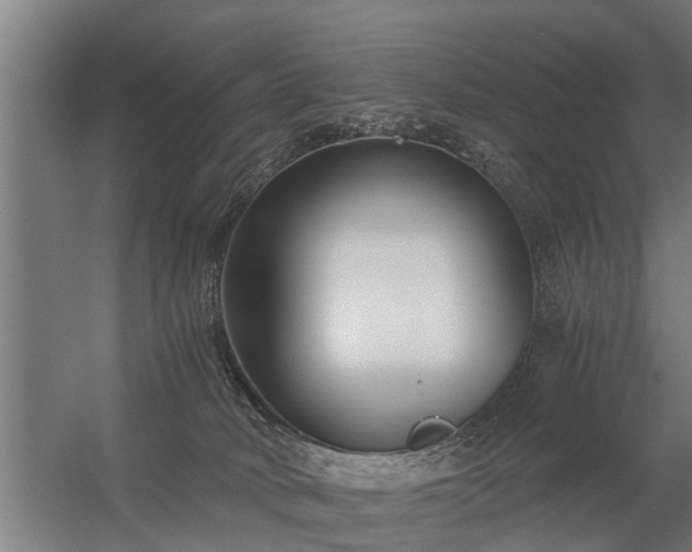 X0000056360034200509021759