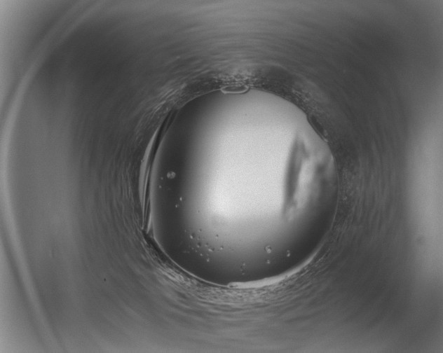 X0000056360037200509021759