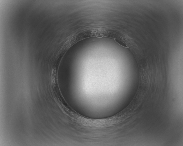 X0000056360038200509021759