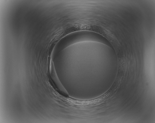 X0000056360039200509021759