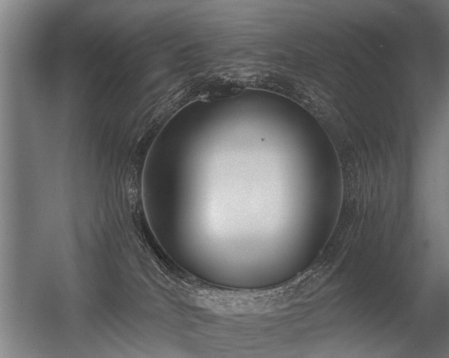 X0000056360040200509021759