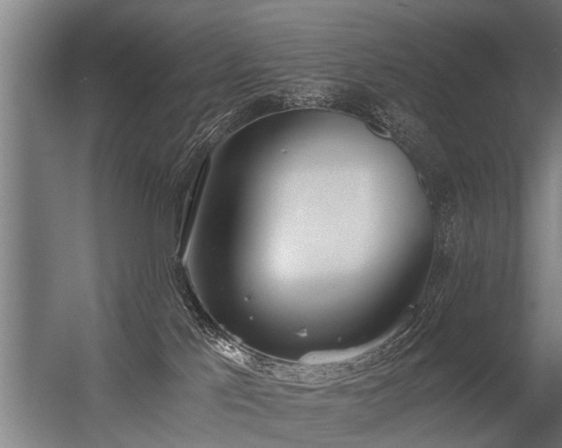 X0000056360041200509021759