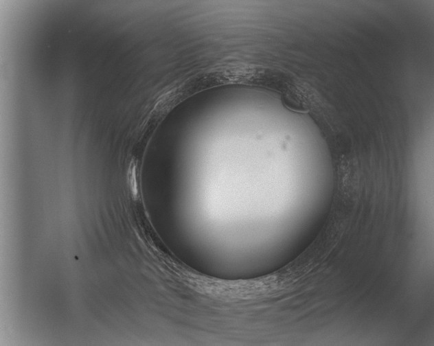 X0000056360042200509021759