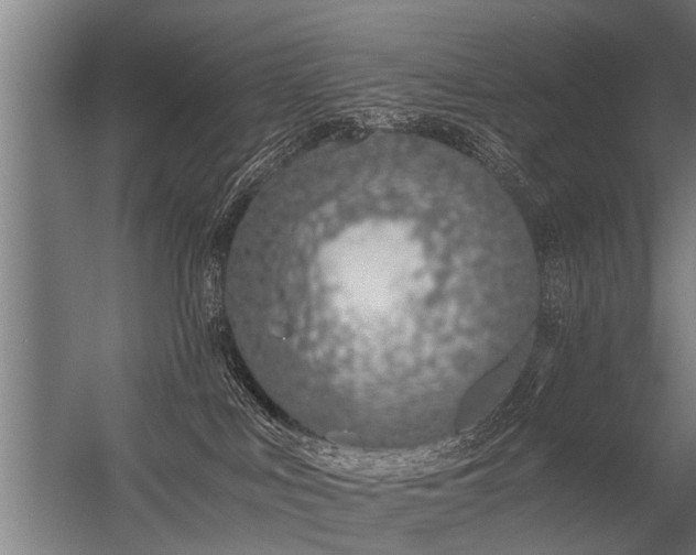 X0000056360043200509021759