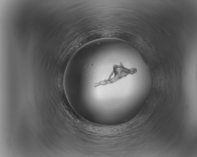 X0000056360044200509021759