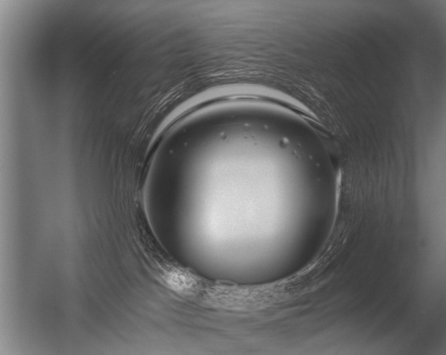 X0000056360045200509021759