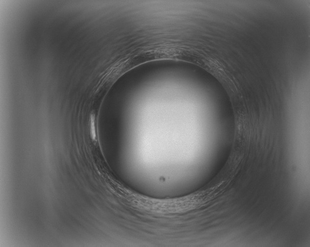 X0000056360046200509021759