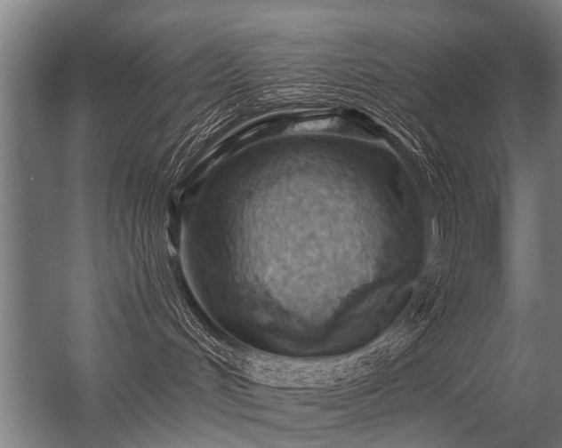 X0000056360048200509021759