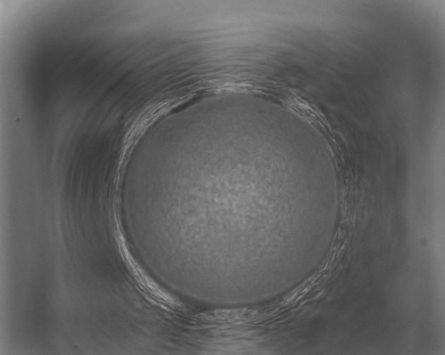 X0000056360049200509021758