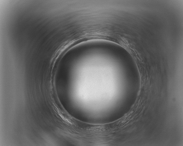 X0000056360050200509021758