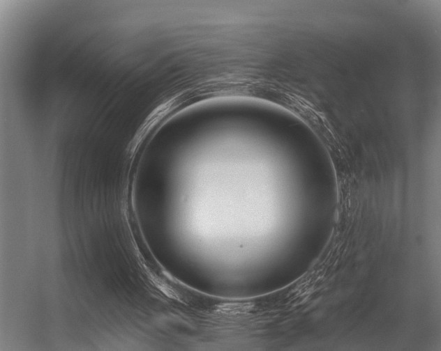 X0000056360051200509021758