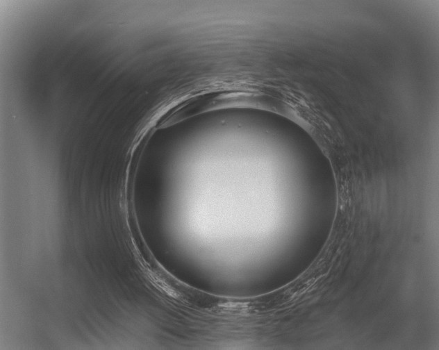 X0000056360052200509021758