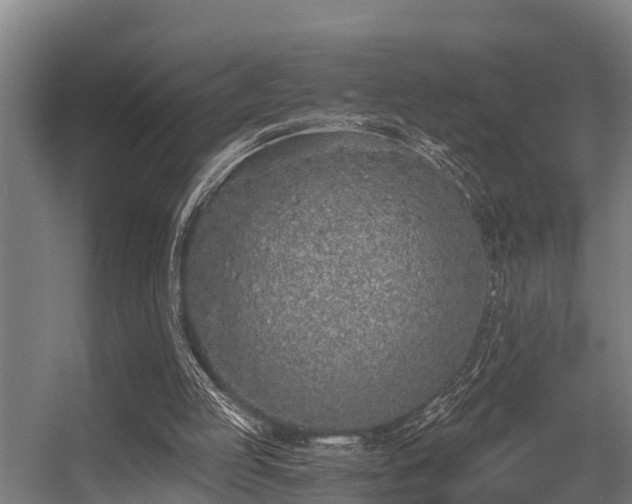 X0000056360053200509021759