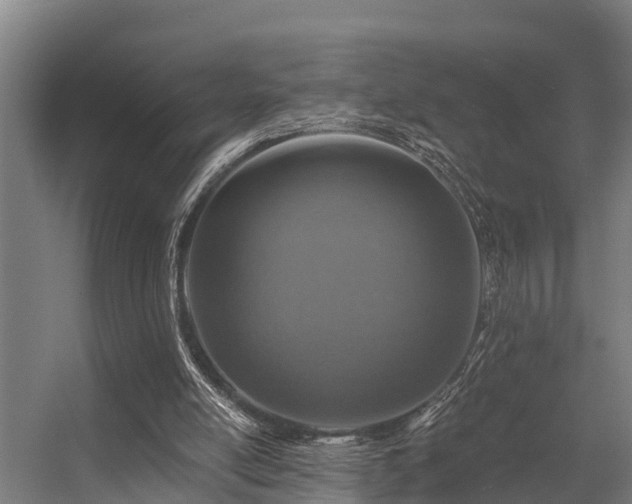 X0000056360054200509021759