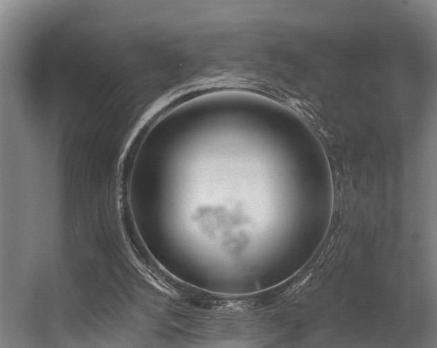 X0000056360056200509021759