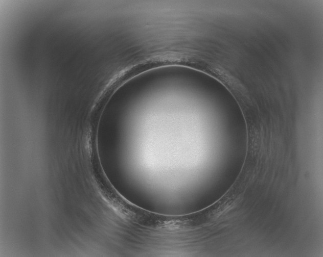 X0000056360064200509021759