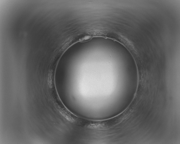 X0000056360065200509021759