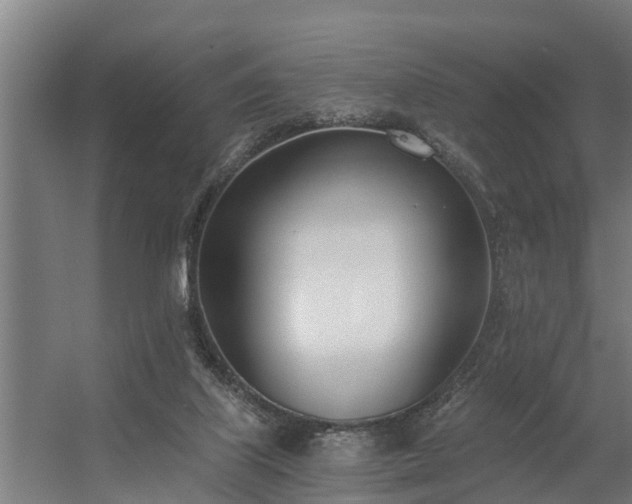 X0000056360067200509021759