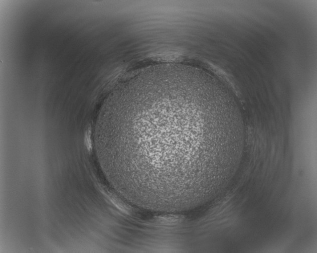 X0000056360069200509021759