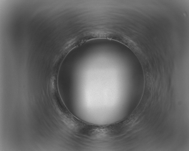 X0000056360071200509021759