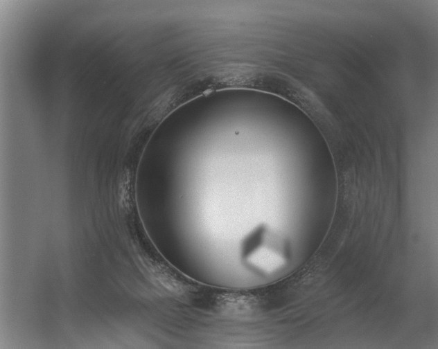 X0000056360073200509021759