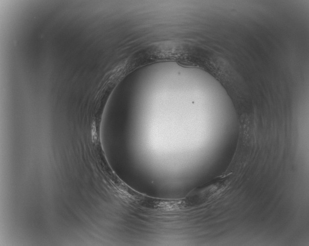 X0000056360089200509021759