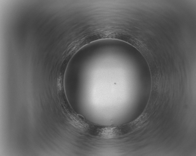 X0000056360090200509021759