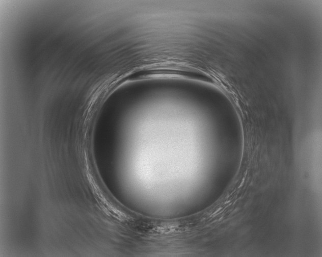 X0000056360097200509021758