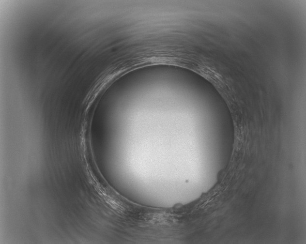 X0000056360098200509021758