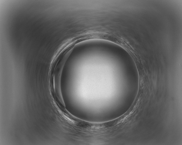 X0000056360101200509021758